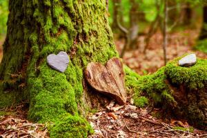 Heart Tree Green Funeral