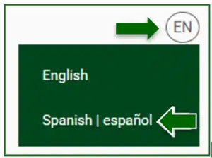 Switch language option. Opción para cambio de idioma.