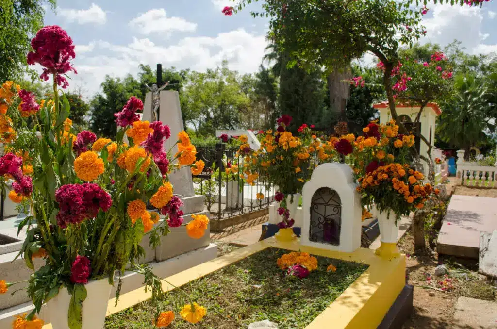 cemetery-orange-flowers