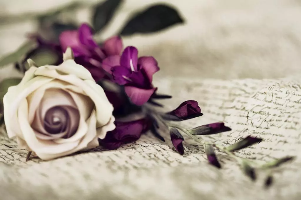 white-rose-purple-flowers